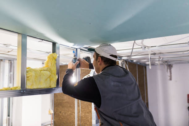 Best Blown-in Insulation in Big Rapids, MI