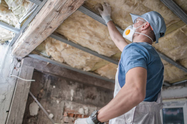 Best Insulation Maintenance and Repair in Big Rapids, MI