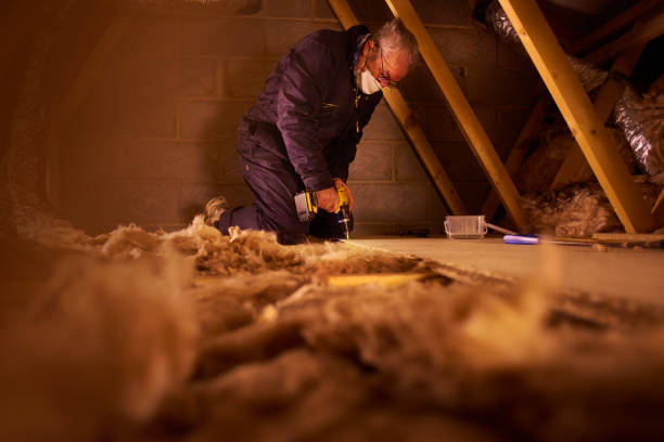 Professional Insulation Contractor in Big Rapids, MI